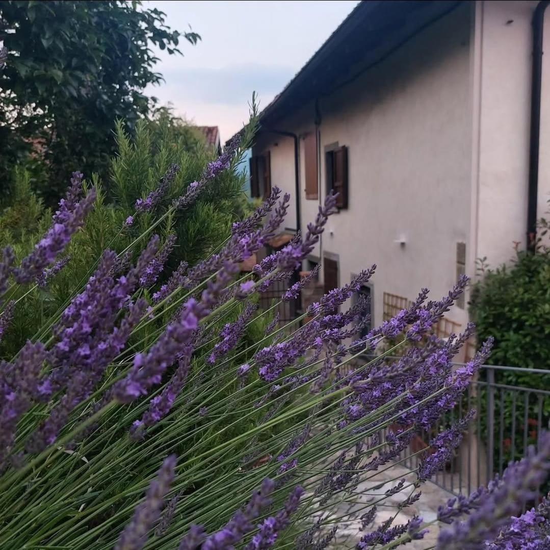 Ferienwohnung Il Giardino Di Berbech Citta Alta - Castagno Bergamo Exterior foto